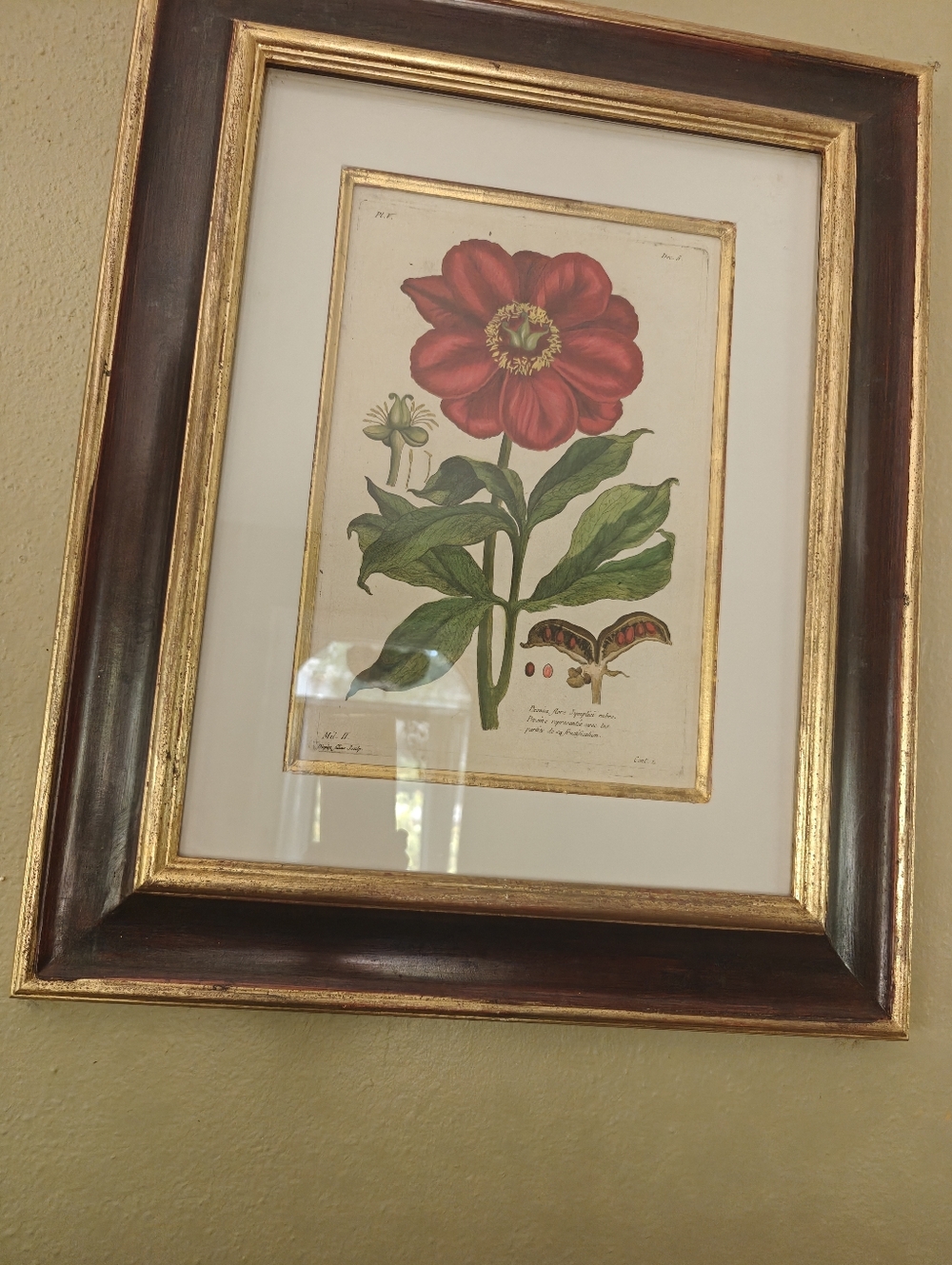 High-end Wall Decor. Two Flowers.